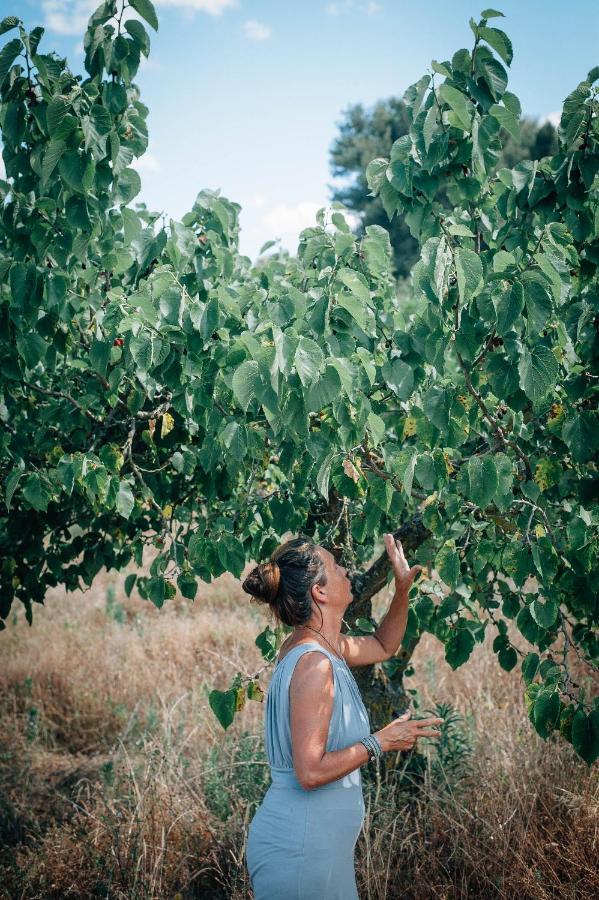 Yours Trulli Martina Franca Zewnętrze zdjęcie